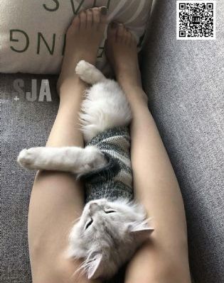 教师电影